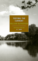 book cover for Testing the Current