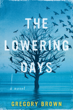 book cover for The Lowering Days