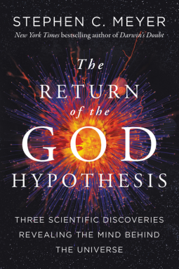 book cover for Return of the God Hypothesis