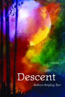 book cover for Descent