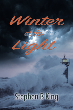 book cover for Winter at the Light