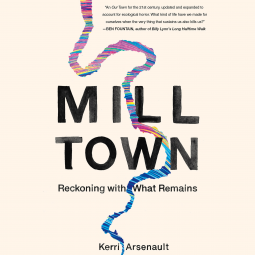book cover for Mill Town
