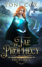 book cover for Fae Prophecy