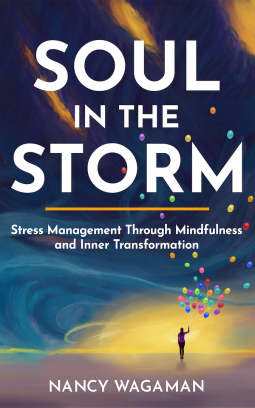 book cover for Soul in the Storm