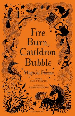 book cover for Fire Burn, Cauldron Bubble