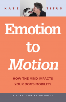 book cover for Emotion to Motion