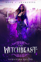 book cover for The Witchbeast
