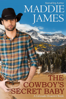 book cover for The Cowboy's Secret Baby