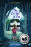 Cover Image: Too Bright to See