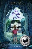 book cover for Too Bright to See