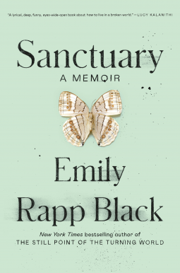 book cover for Sanctuary