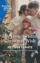 book cover for The Long-Awaited Christmas Wish