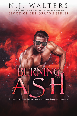 book cover for Burning Ash