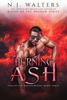 book cover for Burning Ash