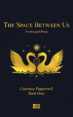 book cover for The Space Between Us