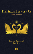 book cover for The Space Between Us