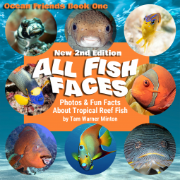 book cover for ALL FISH FACES