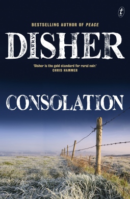 book cover for Consolation