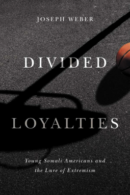 book cover for Divided Loyalties