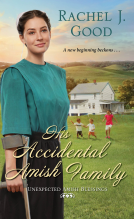 book cover for His Accidental Amish Family