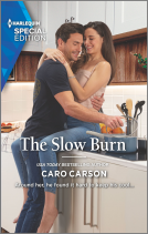 book cover for The Slow Burn