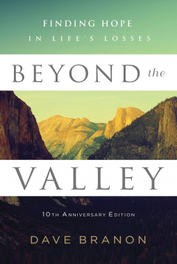 book cover for Beyond the Valley