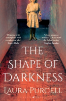book cover for The Shape of Darkness