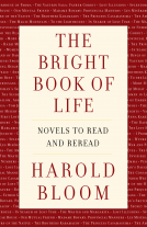 book cover for The Bright Book of Life