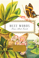 book cover for Buzz Words