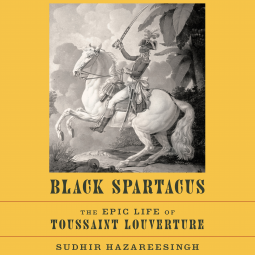 book cover for Black Spartacus