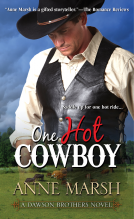 book cover for One Hot Cowboy