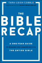 book cover for The Bible Recap