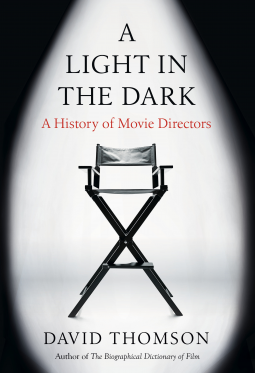 book cover for A Light in the Dark