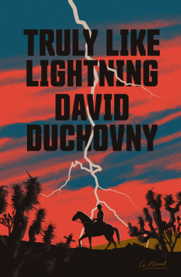 book cover for Truly Like Lightning