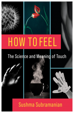 book cover for How to Feel