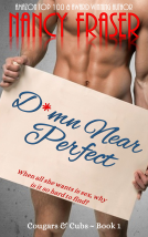 book cover for D*mn Near Perfect