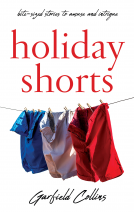 book cover for Holiday Shorts
