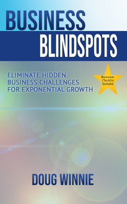 book cover for Business Blindspots