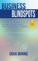 book cover for Business Blindspots