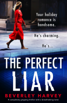 book cover for The Perfect Liar