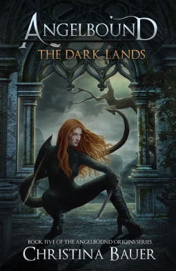 book cover for The Dark Lands