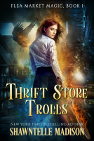 book cover for Thrift Store Trolls