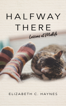 book cover for Halfway There