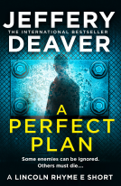 book cover for A Perfect Plan