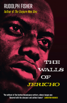 book cover for The Walls of Jericho