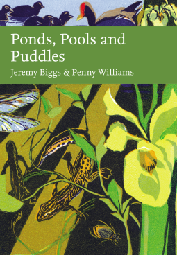 book cover for Ponds, Pools and Puddles