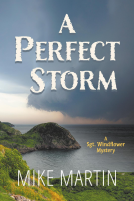 book cover for A Perfect Storm