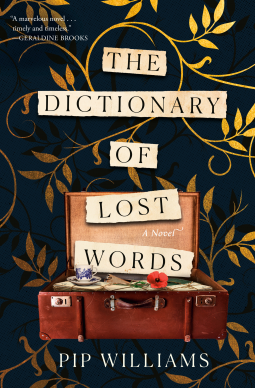 book cover for The Dictionary of Lost Words