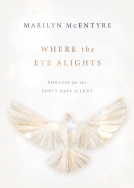 book cover for Where the Eye Alights