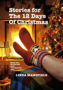 book cover for Stories for the 12 Days of Christmas
